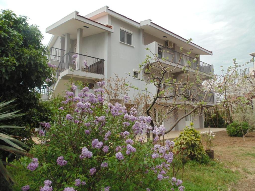 Apartments Macaso バール エクステリア 写真