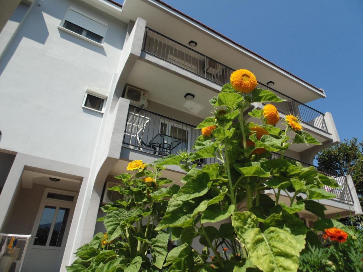 Apartments Macaso バール エクステリア 写真