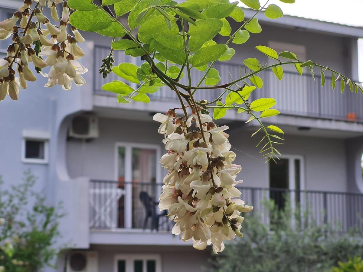 Apartments Macaso バール エクステリア 写真
